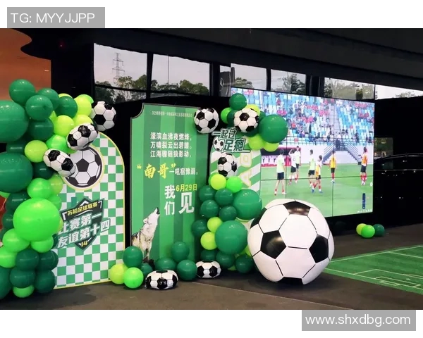 足球CD的魅力与激情探讨如何提升球迷的观赛体验与参与感